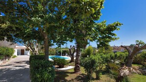 A residential area with a paved driveway leading to a house, surrounded by lush greenery and trees.