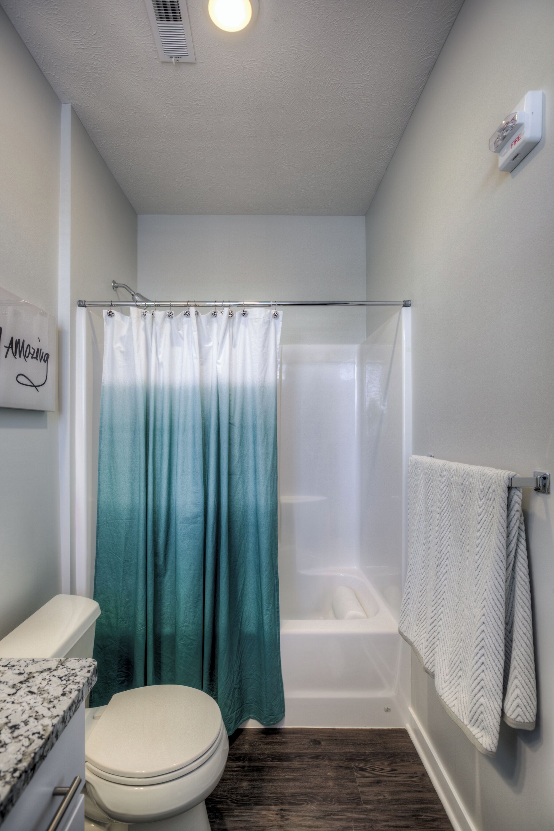 Tovalloles, sabó, xampú i paper higiènic 