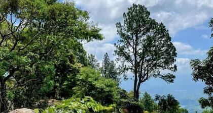 Bawlana Estate - Kandy