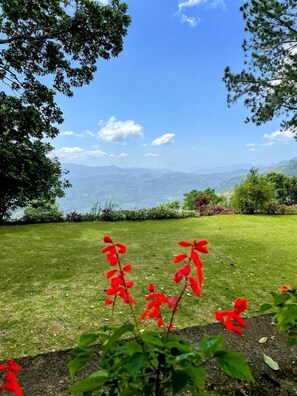 Exterior - Bawlana Estate - Kandy (Kandy)