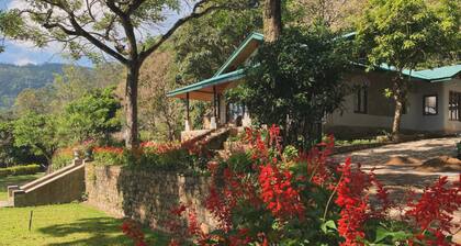 Bawlana Estate - Kandy