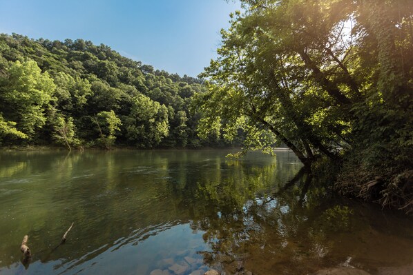 A river surrounded by dense forest.