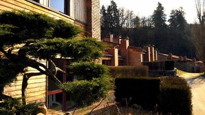 Una casa moderna con facciata in legno, un camino in mattoni e un giardino curato con pini e arbusti.