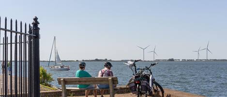 A bench by a waterfront with a bicycle parked nearby.