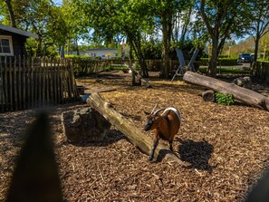 Chalet | Property amenity