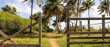 Terrain de l’hébergement 