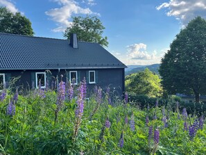 Ein Haus mit dunklem Dach und weißen Fensterrahmen, umgeben von üppiger Vegetation und violetten Blüten.