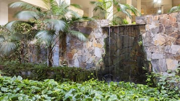 Terrein van de accommodatie