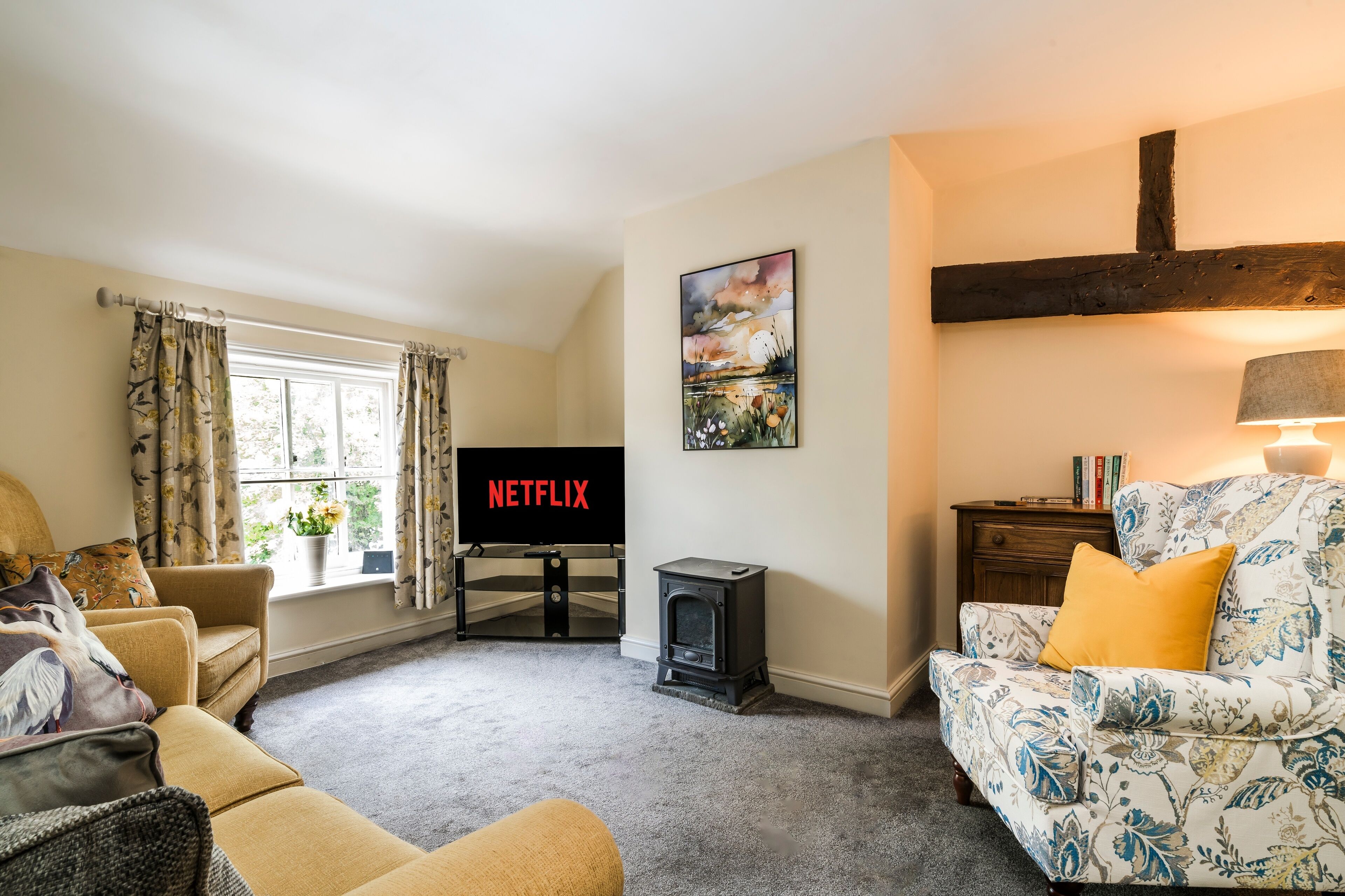 TV, fireplace, books