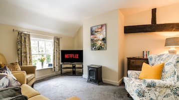 TV, fireplace, books