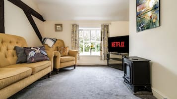 Télévision, cheminée, livres