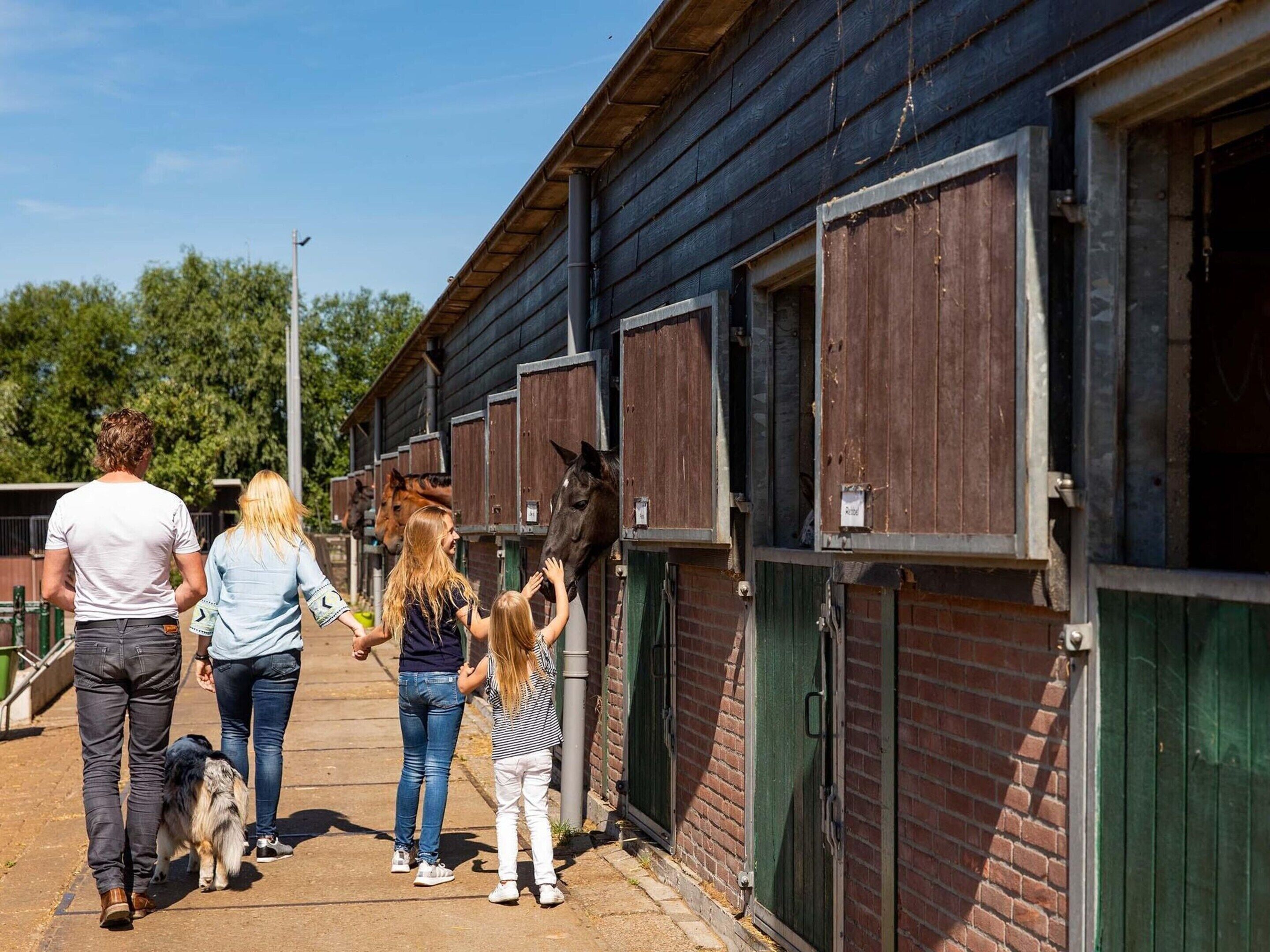 A row of horse stalls with a brick wall and green doors.