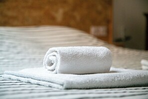 Miscellaneous - Spacious apartment in the center of Chambéry - walking distance to the train station (Chambéry)