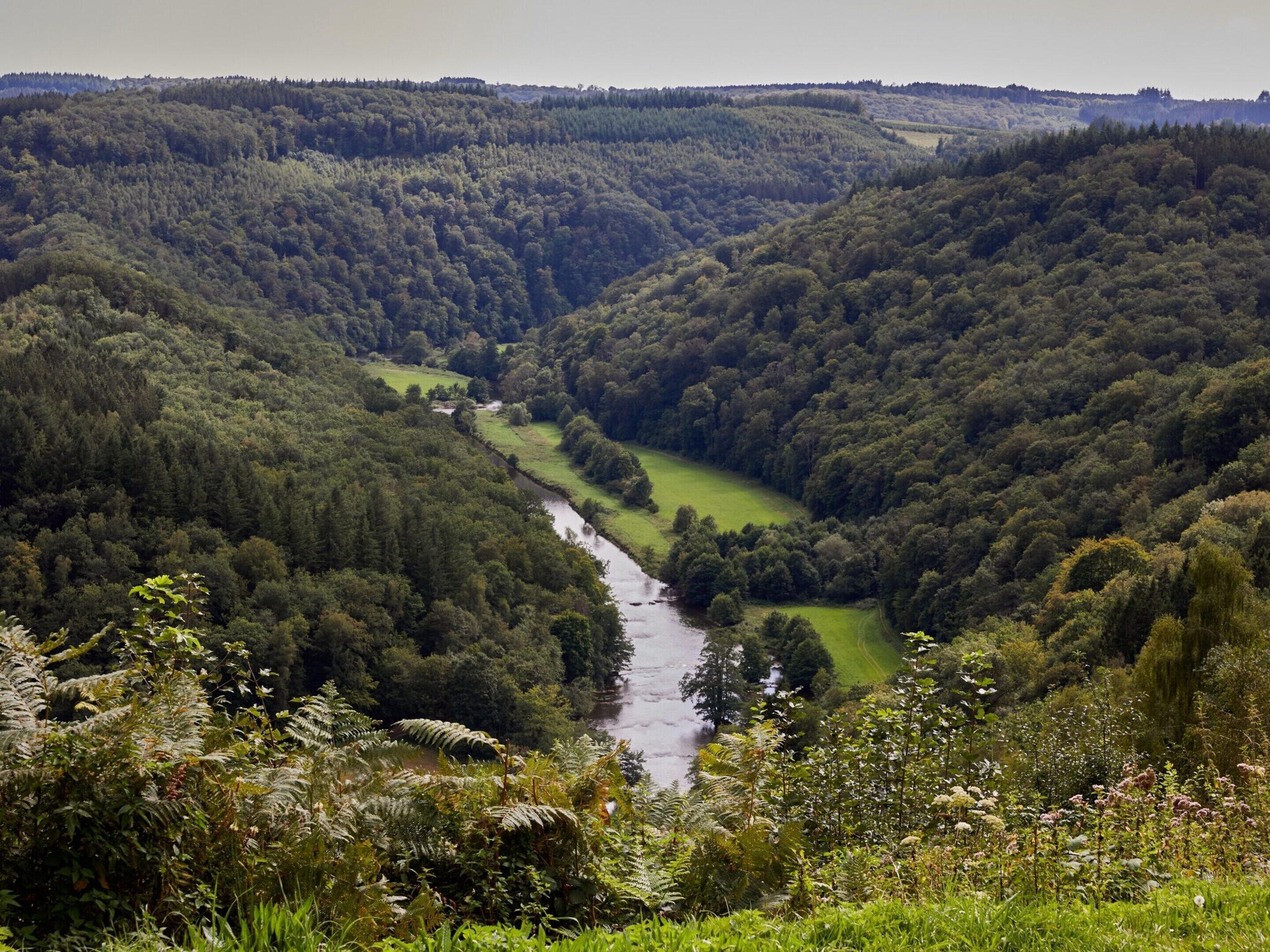 Een rivier kronkelt door een dichtbegroeide vallei, met een helder uitzicht over het omliggende landschap.