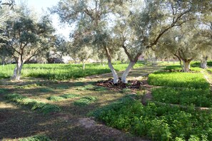 Garden - Ferme D'hôte Eco Farm Tayssir (Ait Sidi Daoud)
