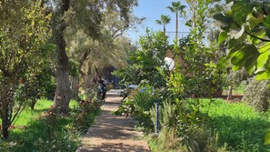 Garden - Ferme D'hôte Eco Farm Tayssir (Ait Sidi Daoud)