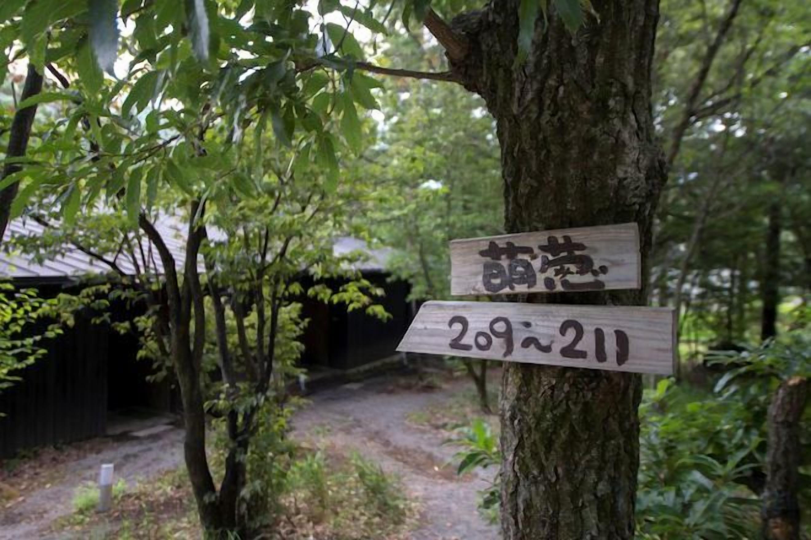 Ein hölzernes Wegweiser mit japanischen Schriftzeichen und der Nummer '209-211', der einen Ort oder eine Route kennzeichnet.