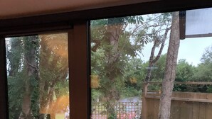 A view through a window with a wooden door, revealing a garden with trees, a wooden fence, and a stone wall. - Delightful studio with WiFi in Ballyvaughan (Ballyvaughan)