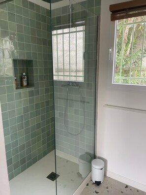 Shower, hair dryer, towels, soap