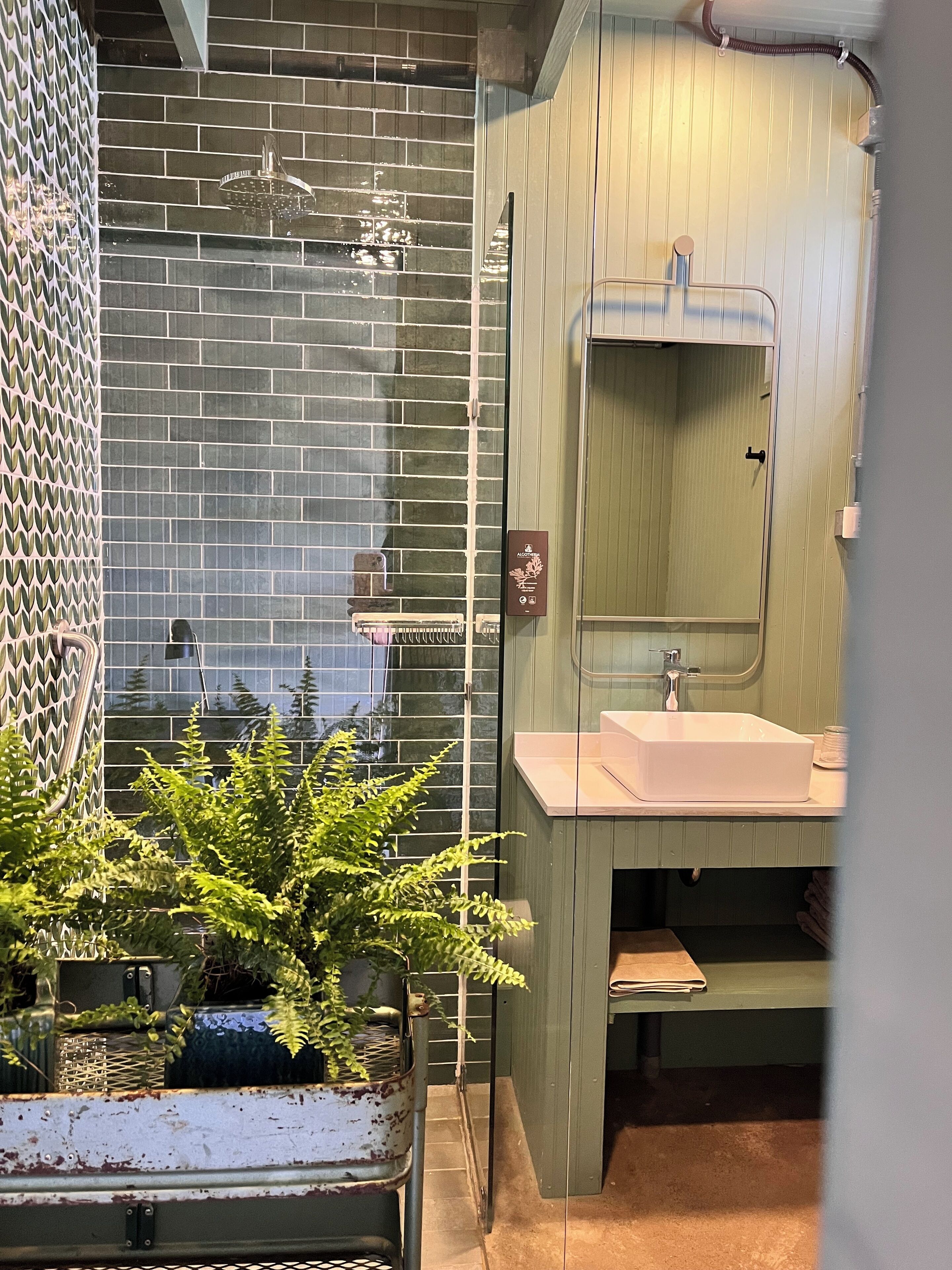 Habitación Confort, vistas al jardín | Baño | Ducha, secador de pelo, bidé y toallas