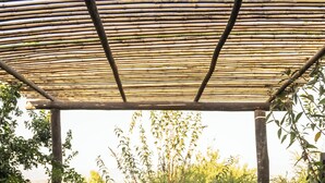 A covered patio with a round wooden table and four chairs, surrounded by lush greenery. - La Guarda Bed and Breakfast (Zapallar)