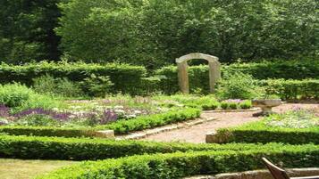 House | View from property