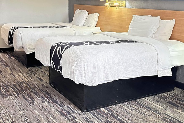 Basic Room, 2 Queen Beds | Free WiFi, bed sheets