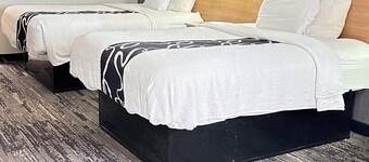 드림랜드 인 앤드 스위트