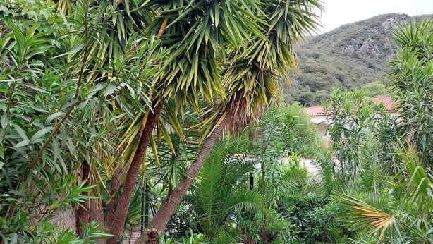 Outdoor dining - appt3 Between sea and mountains, beautiful apartment, swimming pool, botanical garden. (Sorède)