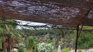 Pool - appt3 Between sea and mountains, beautiful apartment, swimming pool, botanical garden. (Sorède)