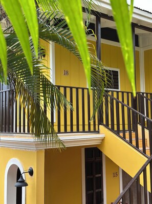 إطلالة على الحديقة