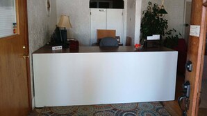 Zona de recepción con un escritorio, una lámpara, una silla, una planta y una puerta.
