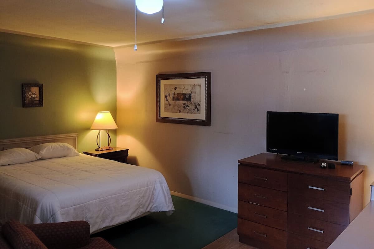Une chambre d’hôtel avec un lit, une commode, une télévision, une lampe et un tableau encadré au mur.