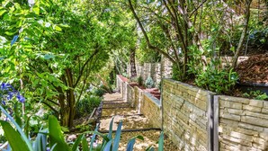 A garden pathway with a brick wall on one side and lush greenery on the other. - Azimuth – Family Retreat with Sauna, Garden & Scenic Views (Wentworth Falls)