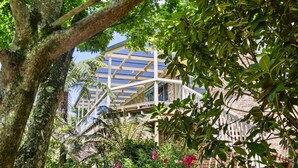 A building with a glass roof structure, surrounded by lush greenery and flowering plants. - Azimuth – Family Retreat with Sauna, Garden & Scenic Views (Wentworth Falls)