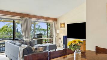 Smart TV, fireplace, ping pong