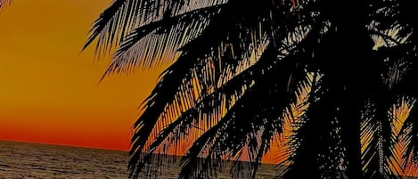 On the beach, sun-loungers, beach towels