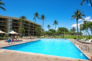 Outdoor pool, pool umbrellas, pool loungers