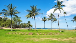 Een goed onderhouden golfbaan met uitzicht op de oceaan en palmbomen.