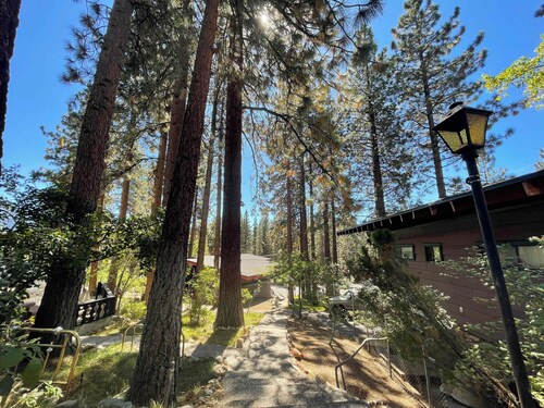 Cozy Zephyr Cove Suite