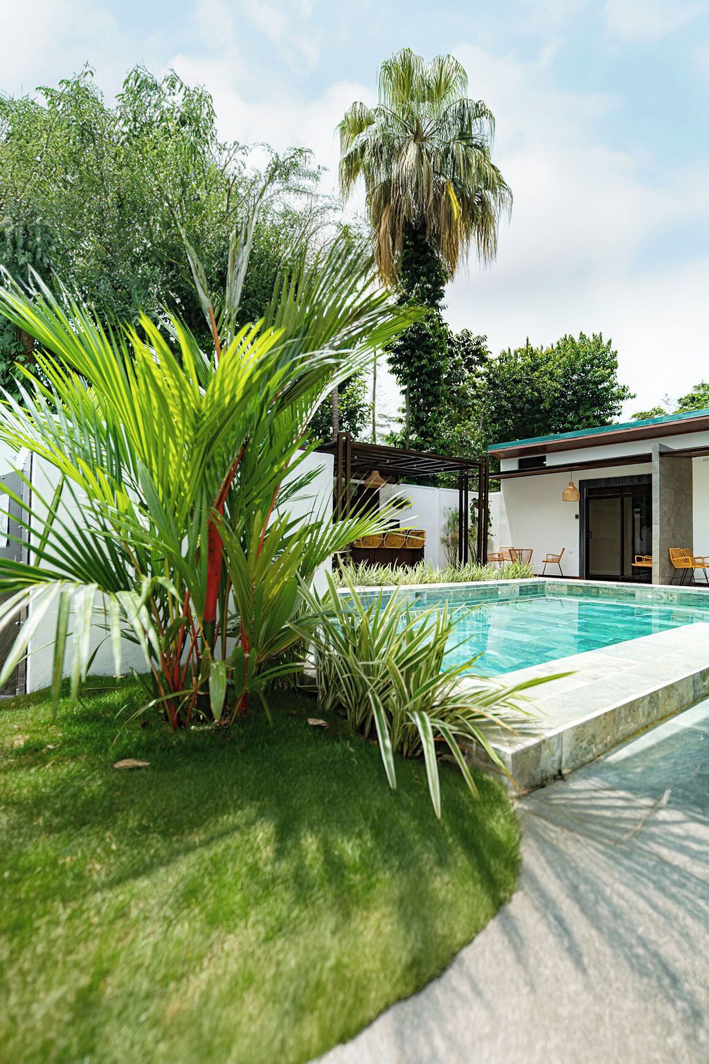 Una piscina rodeada de abundante vegetación, con palmeras y diversas plantas.