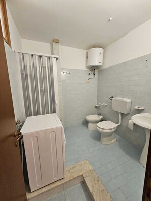 Ducha, secador de pelo, bidé y toallas