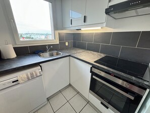 Fridge, oven, stovetop, dishwasher