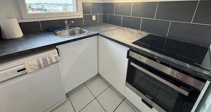 Appt 2p, Proche Nouvelle Station Pleyel St Denis M14