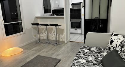 Appt 2p, Proche Nouvelle Station Pleyel St Denis M14