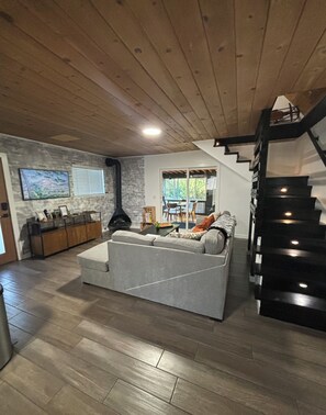 Smart TV, lareira, livros