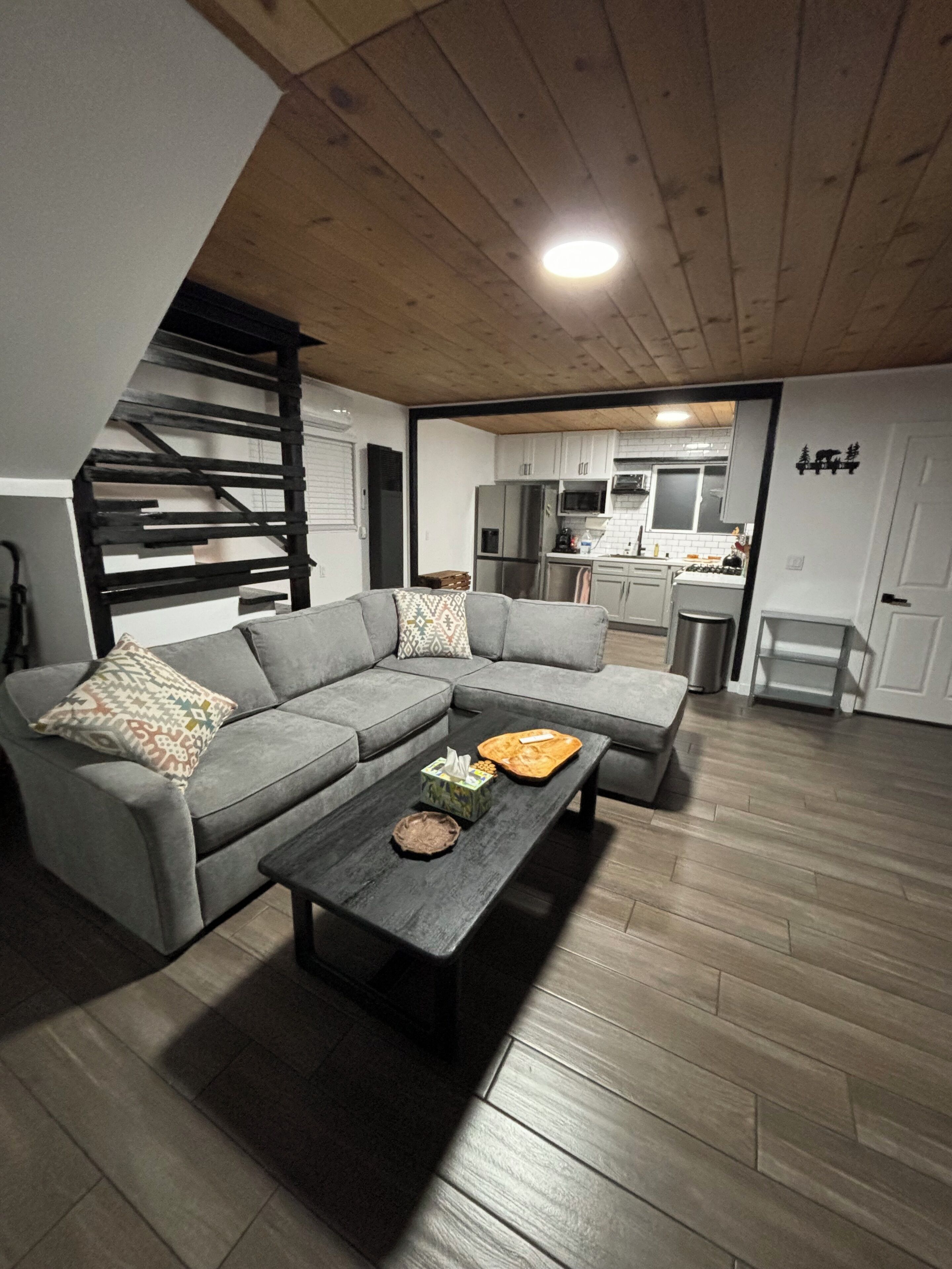 Smart TV, lareira, livros