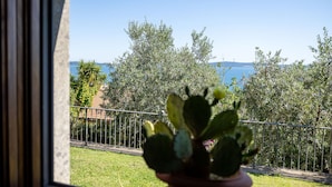 A view through a window with a potted cactus in the foreground, a metal fence, and a clear blue sky with distant land and trees. - Olvietello With 3 Bedrooms and 3 Bathrooms (Trevignano Romano)