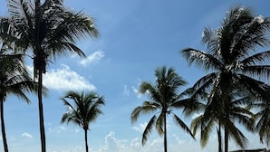 A poolside area with palm trees, lounge chairs, and a view of the ocean. -  Suite with Tranquil vibes, beautiful panorama of sea in fabulous Quintana Roo (quintana roo)