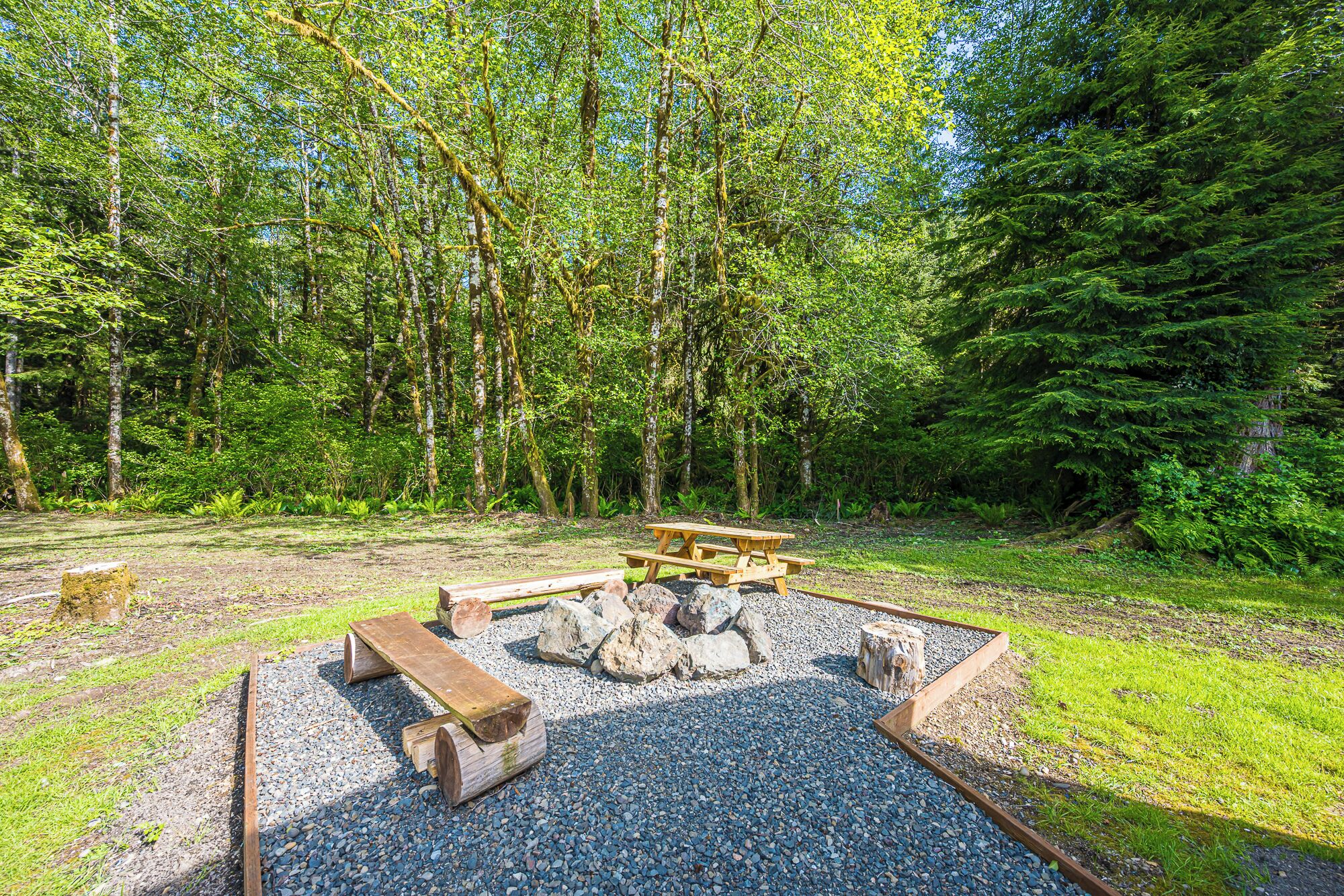 A forested campsite with a picnic table and fire pit.
